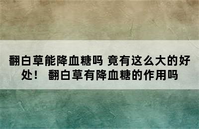 翻白草能降血糖吗 竟有这么大的好处！ 翻白草有降血糖的作用吗